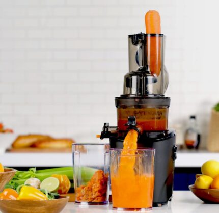 Commercial Slow Juicer Extractor (2)